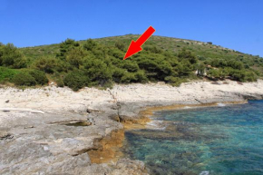 Гостиница Secluded fisherman's cottage Cove Ripisce, Dugi otok - 394  Брбинь